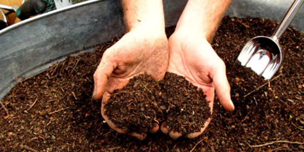 Black Gold Sifted Compost (1) (1)